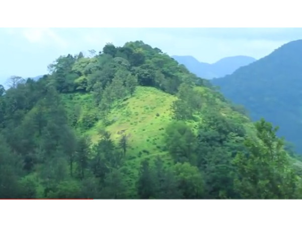 അമ്പനാട് ഹിൽസ്; കൊല്ലംകാരുടെ മൂന്നാർ