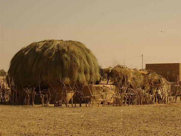 പോകാം രാജസ്ഥാനിലേക്ക്