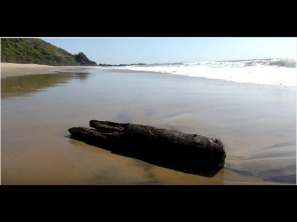  12. കെറി ബീച്ച്