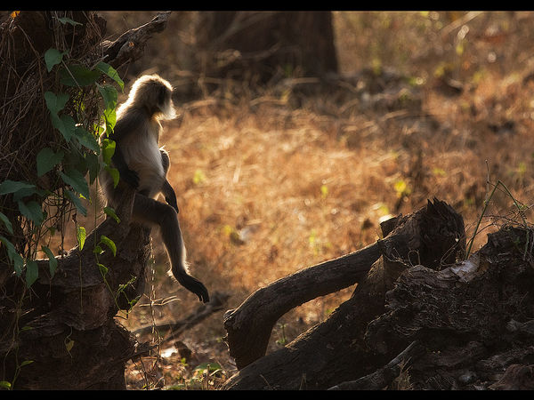 റോഡിന്റെ അവസ്ഥ