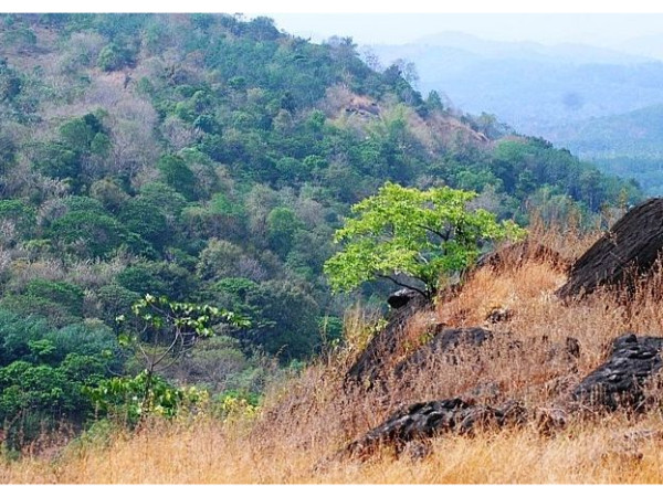 പേരിന് പിന്നിൽ