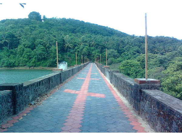 പൂമാല ഡാം