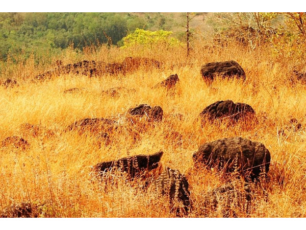 പൂമാല ഗ്രാമം