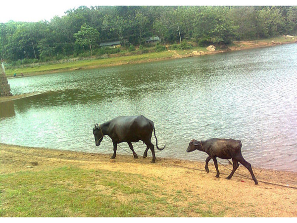 ഡാം കാഴ്ചകൾ