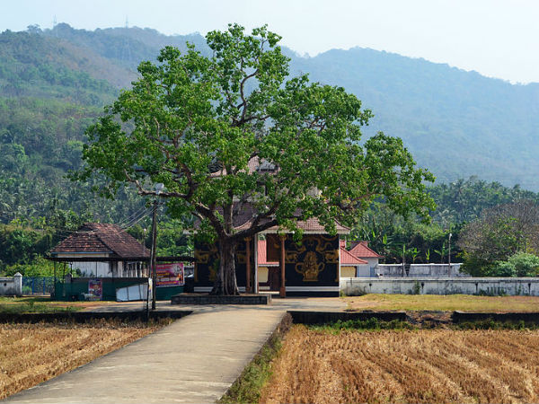 രുധിരമഹാകാളിക്കാവ്