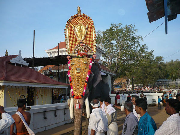 മൂന്ന് പങ്കുകാർ