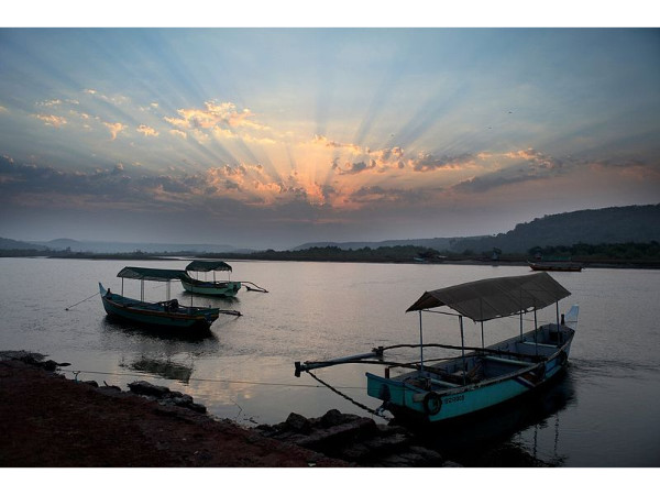 കടലാമകൾ