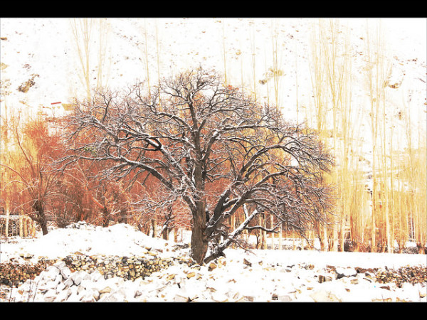 രണ്ടാം ‌ദിവസം