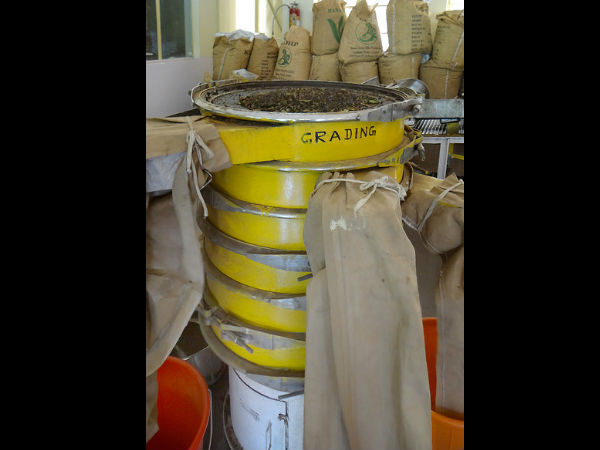 ഗ്രേഡിംഗ്