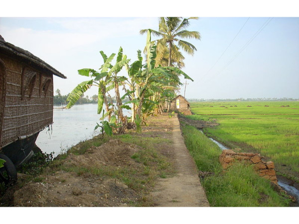 മങ്കൊമ്പ്