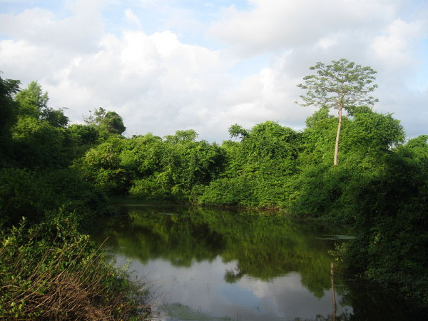 ചേറ്റുവ കായൽ