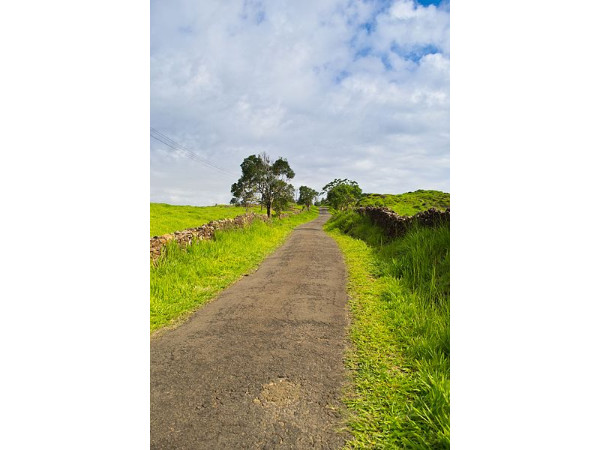 08. വാഗമൺ, 99 കിമീ