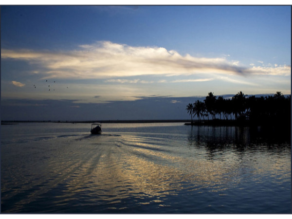 പൂവാറിൽ എത്തിച്ചേരാൻ
