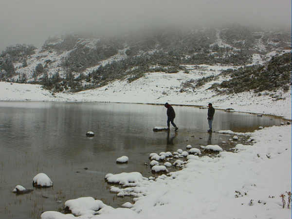03. ‌ദുല്‍ക്കര്‍ സല്‍മാന്‍
