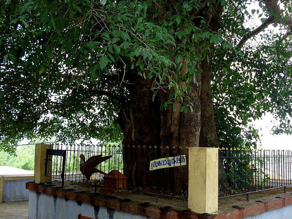 04. മറ്റു ‌പ്രതിഷ്ഠകൾ