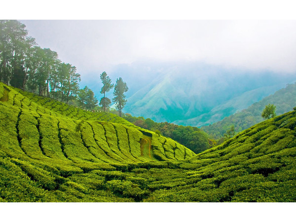 10. മൂന്നാർ, 298 കി മീ