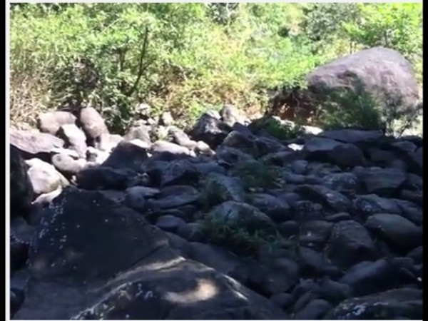 വേലിക്കരികിലൂടെ