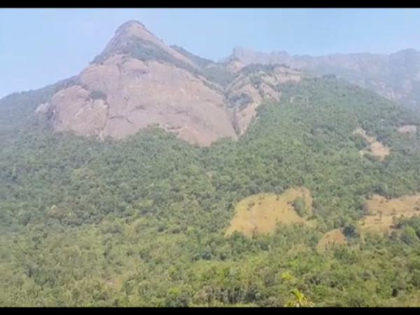 വെള്ളരിമല ബേസ്