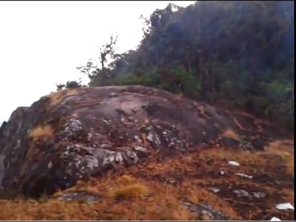 വനത്തിലൂടെ