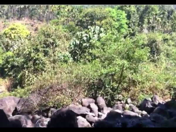 ഒലിച്ചുചാട്ടം