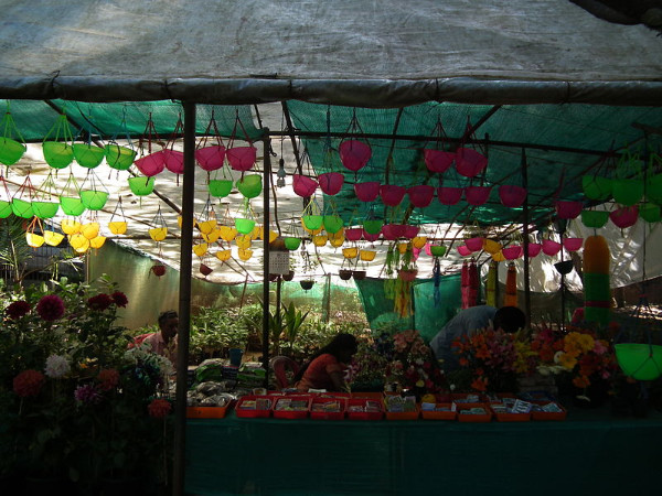 പൂക്കളും ചെടികളും വാങ്ങാം