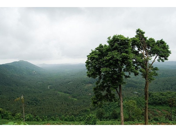 വിദൂര കാഴ്ച