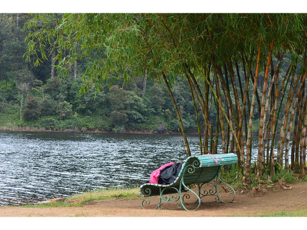 എത്തിച്ചേരാൻ