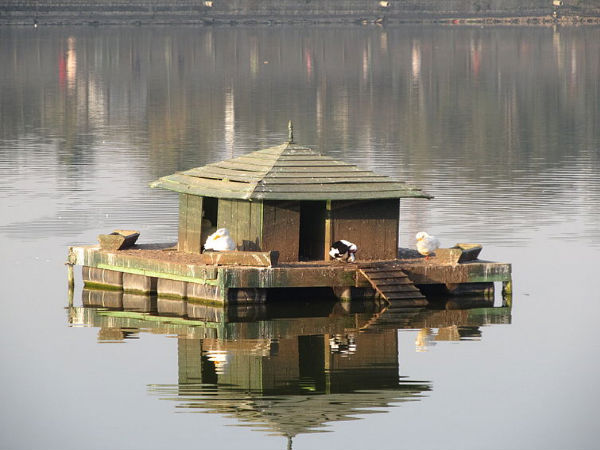 03. താടകങ്ങളുടെ ഭംഗി