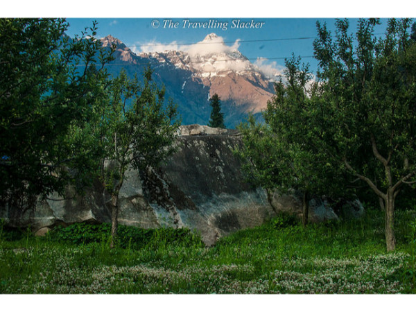 കൂടുതൽ ചി‌ത്രങ്ങൾ