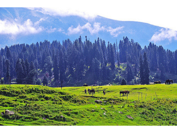 02. ഔട്ടര്‍ സര്‍ക്കിള്‍ വാക്ക്