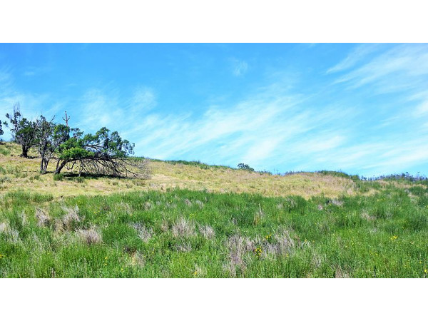 05. ട്രക്കിലൂടെ