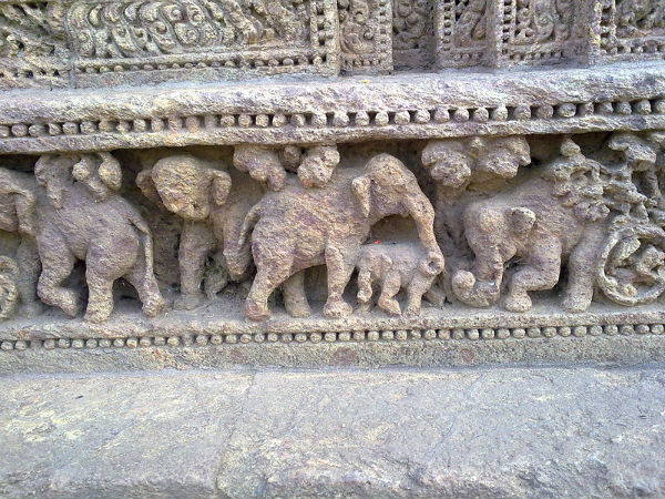 10. ആനകള്‍ രണ്ടായിരം