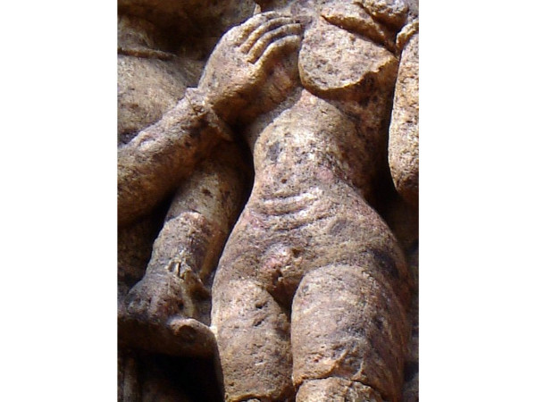 കൂടുതൽ ചിത്രങ്ങൾ6