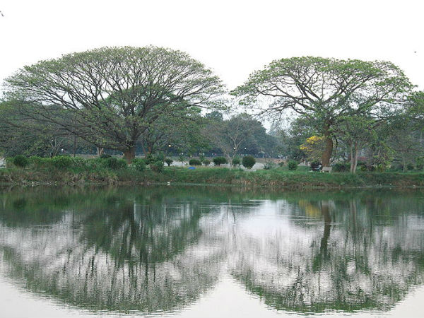 മരങ്ങള്‍