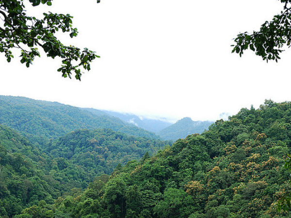 വന്യജീവി സങ്കേതം