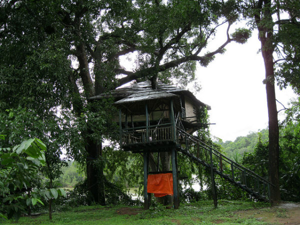 നേച്ചര്‍ ക്യാമ്പ്