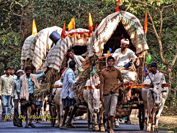 ഡാൻഡേലി