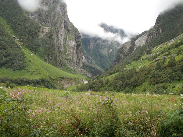 ഗംഗാരിയയിലേക്ക് 