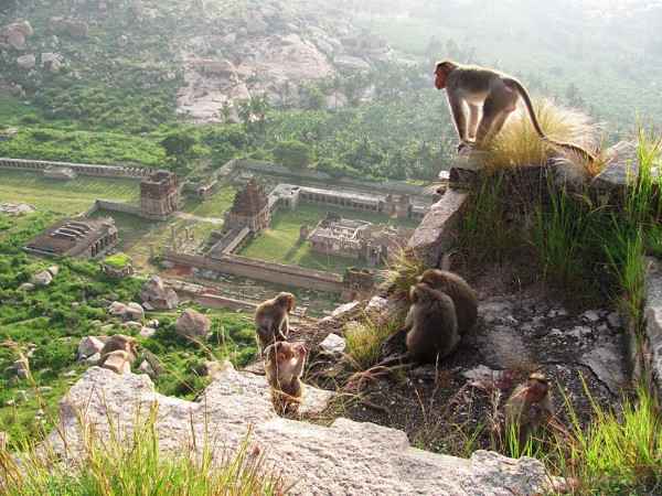 അച്ചുതരായ ക്ഷേത്രം