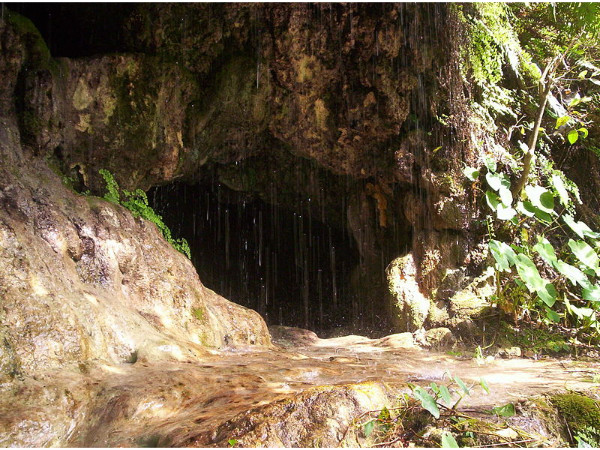 വസിഷ്ഠ ഗുഹ