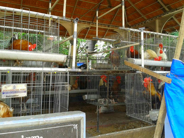 ചേറിലായ തല എ‌ന്ന ചേർത്തല