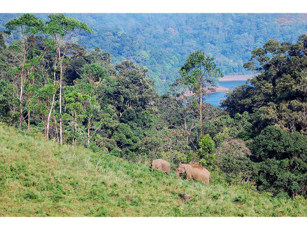 കാഴ്ചകള്‍ 