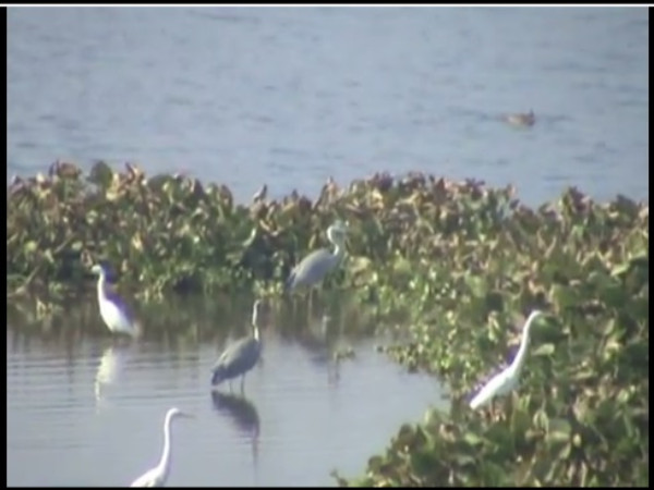 05. ബിന്ദാവാസ് തടാകം