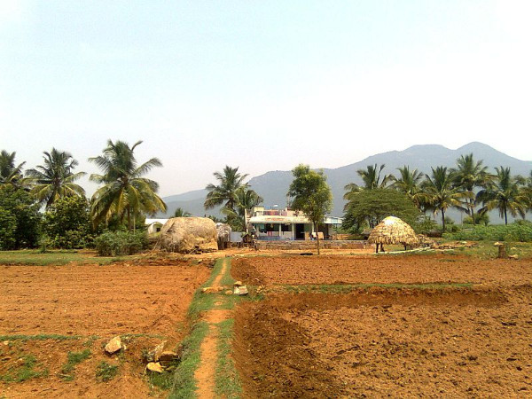 കൊയ്ത്ത് കഴിഞ്ഞ പാടം