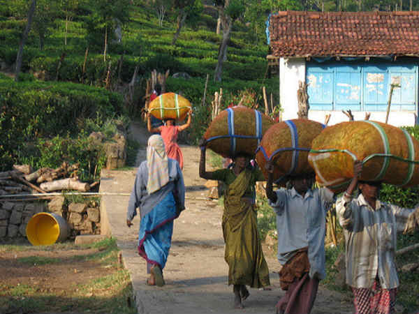 06. കോട്ടഗിരിയിലെ ആദിമനിവാസികള്‍
