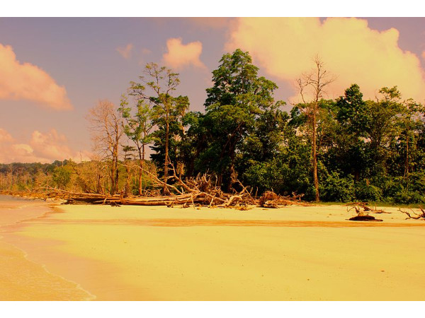 03. എലഫെന്റ ബീച്ച് 