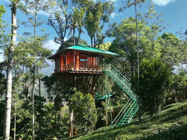 03. ഏറുമാടത്തിൽ താമസിക്കാം