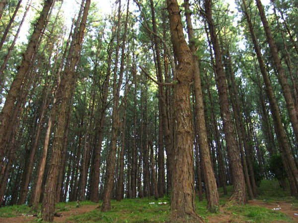 ഷൂട്ടിംഗ് ലൊക്കേഷൻ