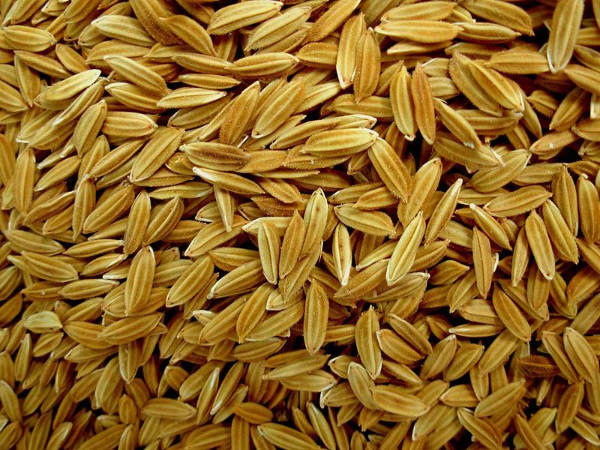 നവധാന്യങ്ങൾ