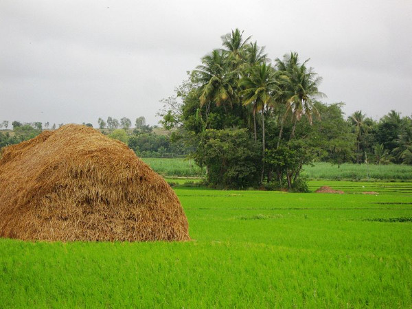ശ്രീരംഗ‌പട്ടണയിലേക്ക്